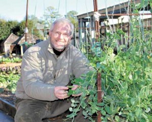 BBG Bruno Vegetable Garden BBG Bruno Vegetable Garden