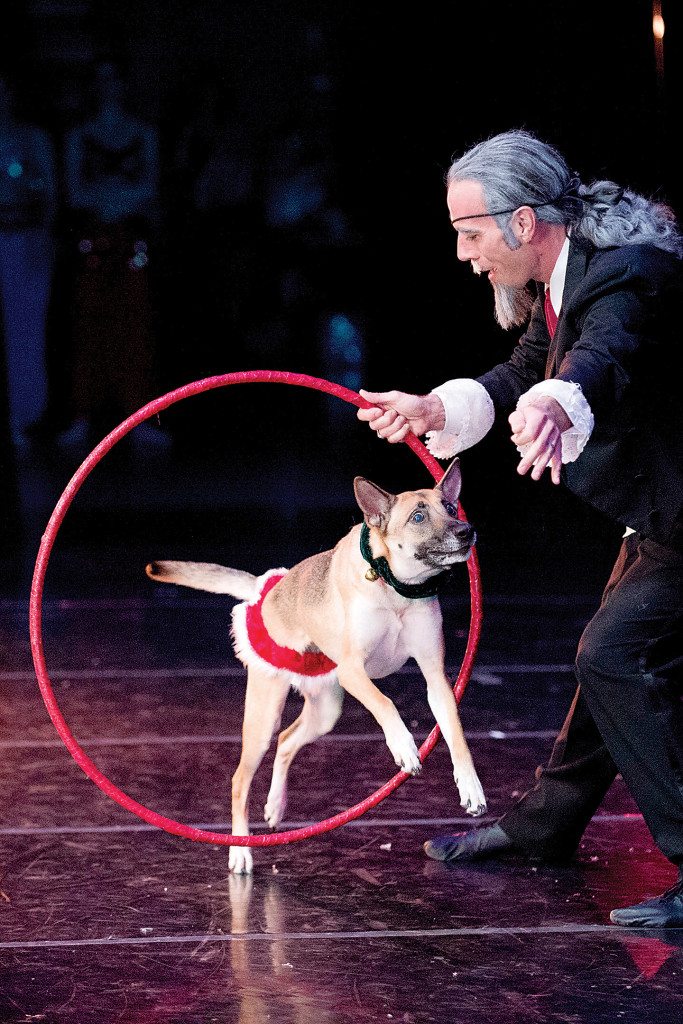 leaping dog