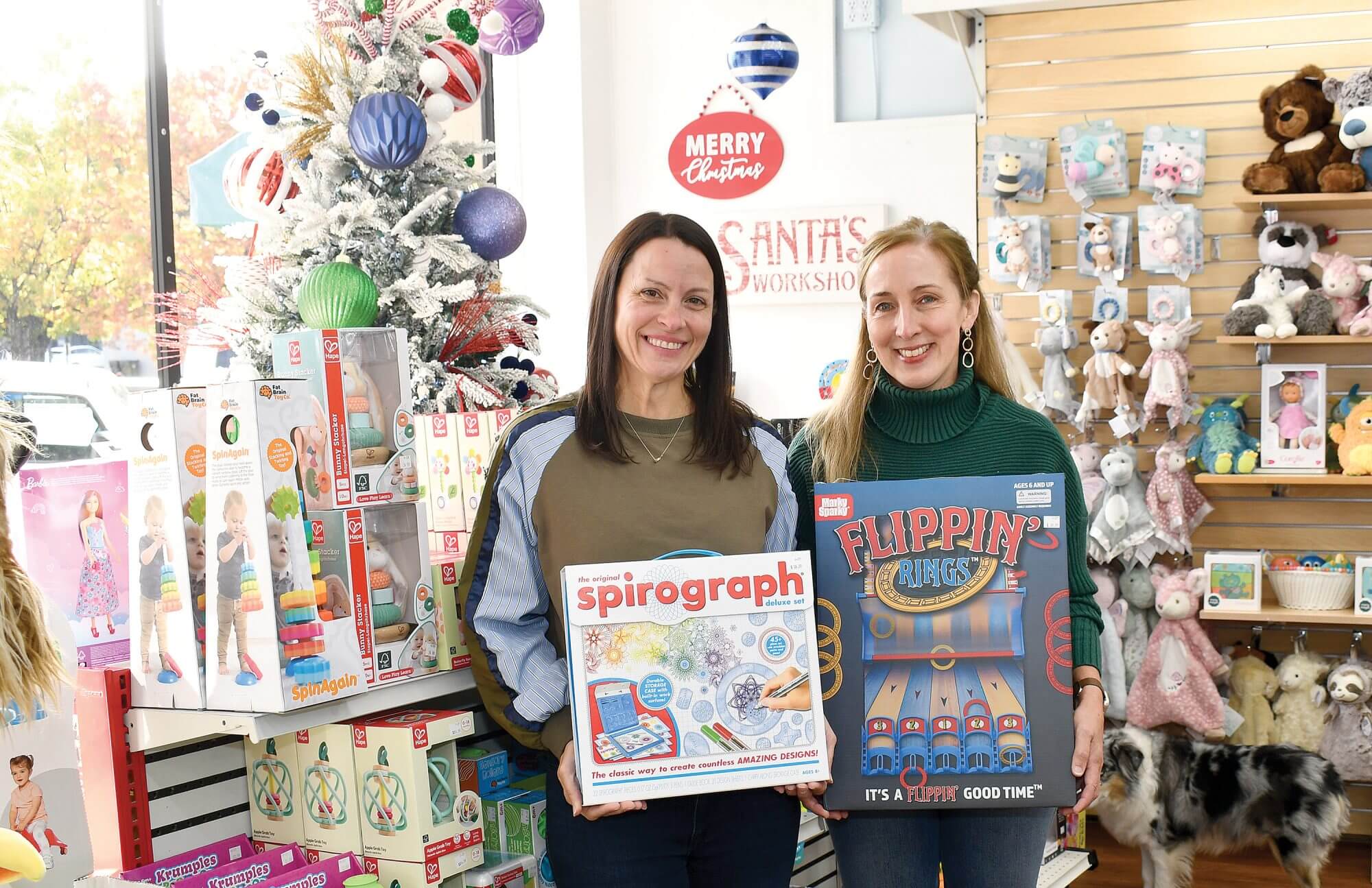 Terrific Toys - Over the Mountain Journal